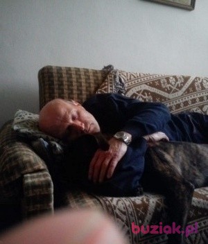 piotr, Male, 68, Lublin, Polska, Photo: 2