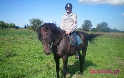 Daniel, Male, 30, Pruszcz Gdański, Polska, Photo: 1