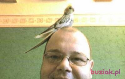 Janusz, Mężczyzna, 55, Opole, Polska, Zdjęcie: 1