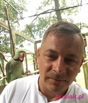 aleksanderhot2, Male, 42, Wielka Brytania, Photo: 1