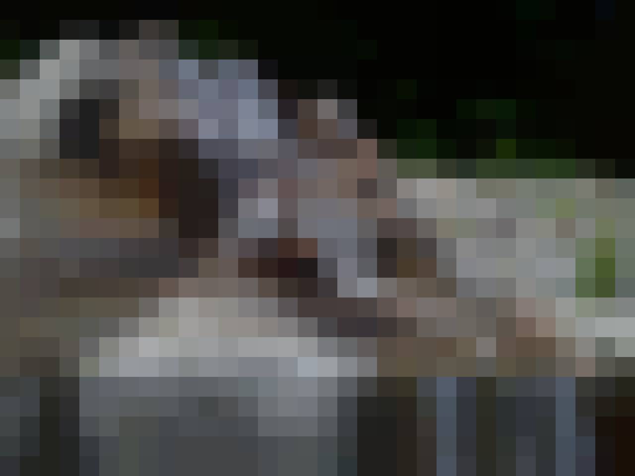 Piotrek, Male, 42, Warszawa, Polska: 1