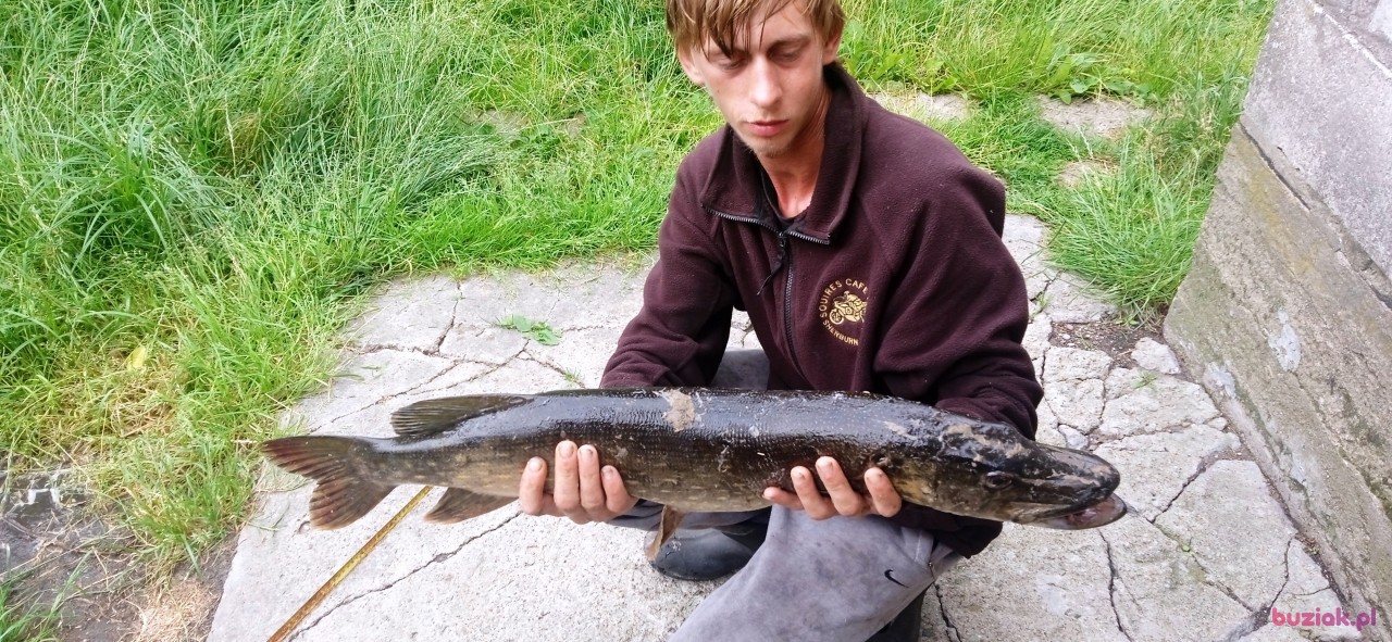 Mateusz, Mężczyzna, 27, Jedwabne, Polska: 1