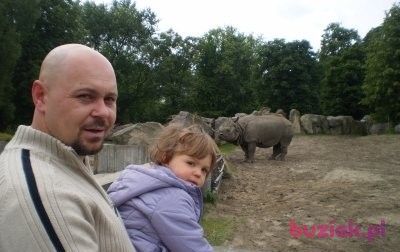 grzegorz, Mężczyzna, 45, Kozienice, Polska, Zdjęcie: 2