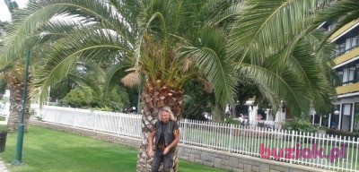 henryk, Male, 65, Zabrze, Polska, Photo: 2