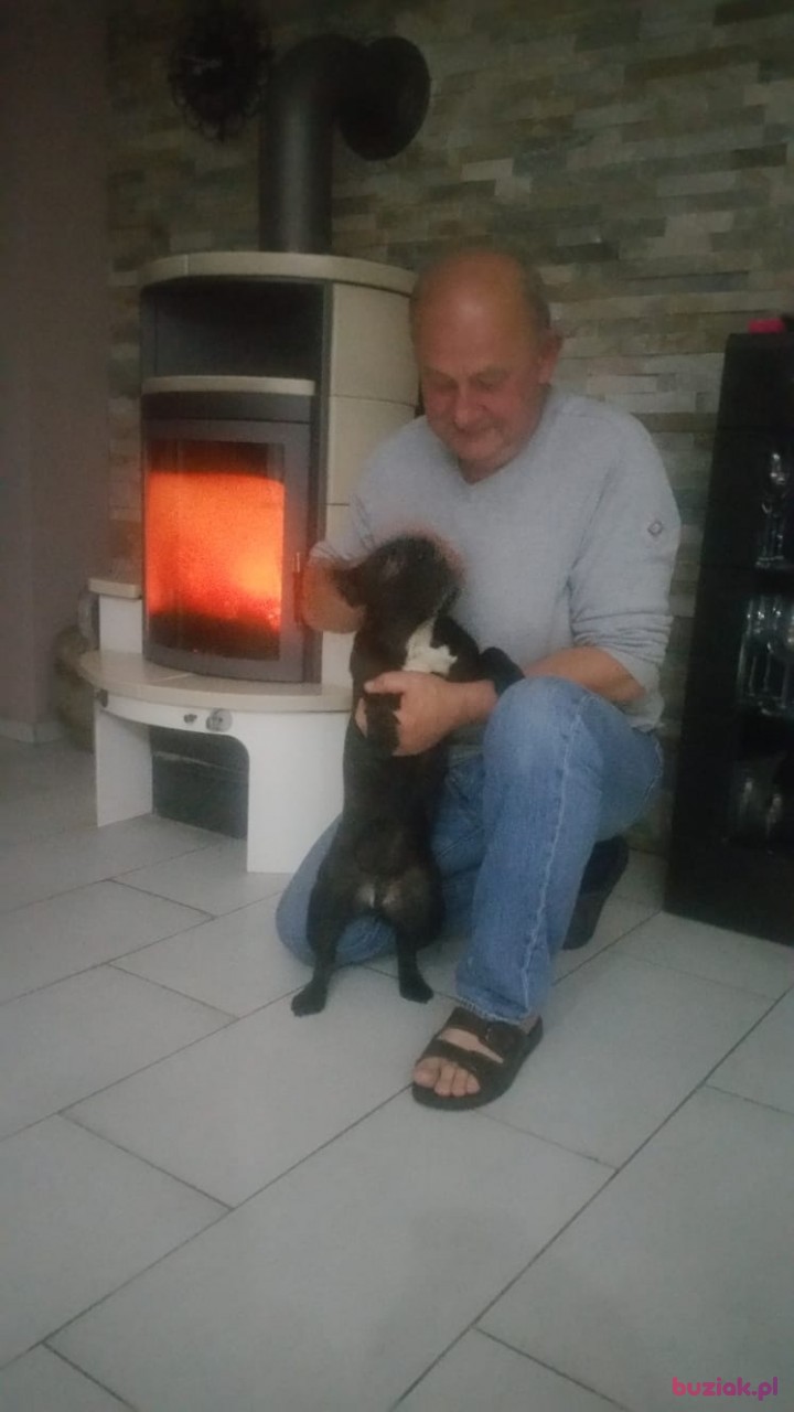 Andi, Male, 60, Wuppertal, Niemcy, Photo: 1