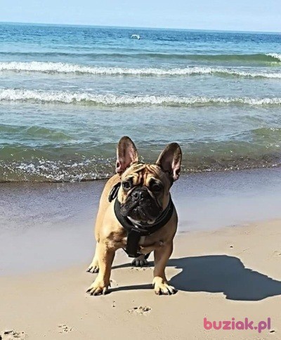 Navas, Male, 43, Warszawa, Polska, Photo: 7