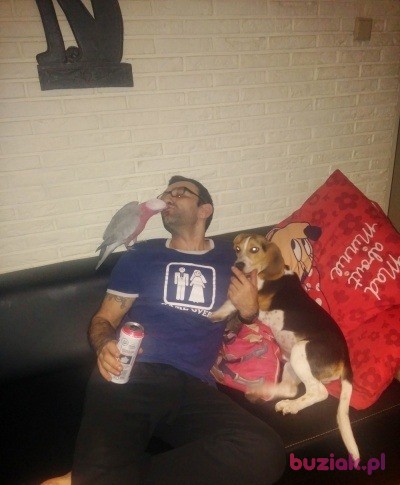 Piotr, Male, 48, Rotterdam South Holland Province, Holandia, Photo: 4