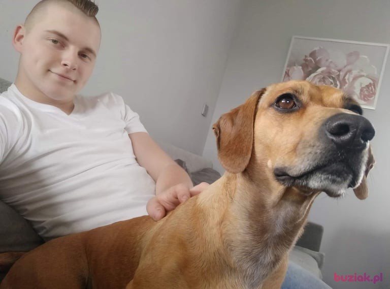 Kacper, Mężczyzna, 24, Bytom Odrzański, Polska, Zdjęcie: 2