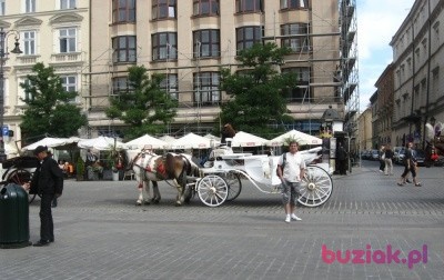 Jarek, Mężczyzna, 62, Czerwionka-Leszczyny, Polska, Zdjęcie: 1