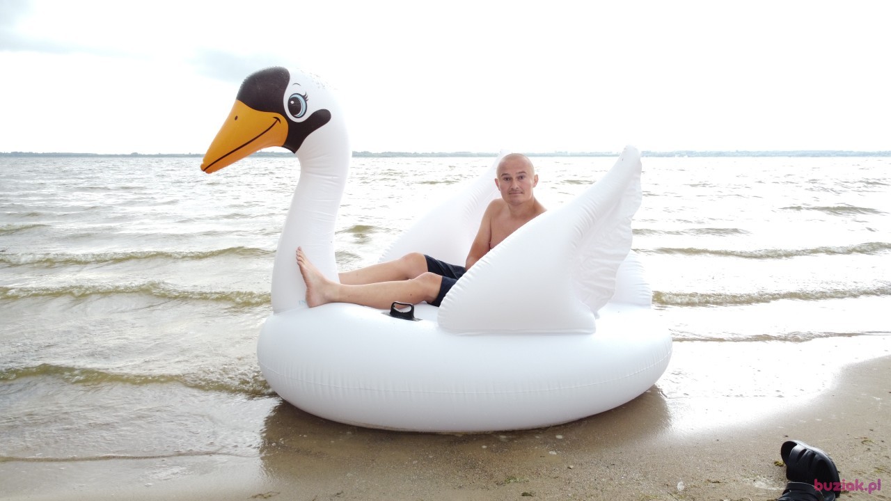 Michał, Mężczyzna, 36, Zgierz, Polska, Zdjęcie: 538