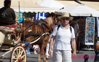 Jacek, Male, 68, Szwecja, Photo: 1