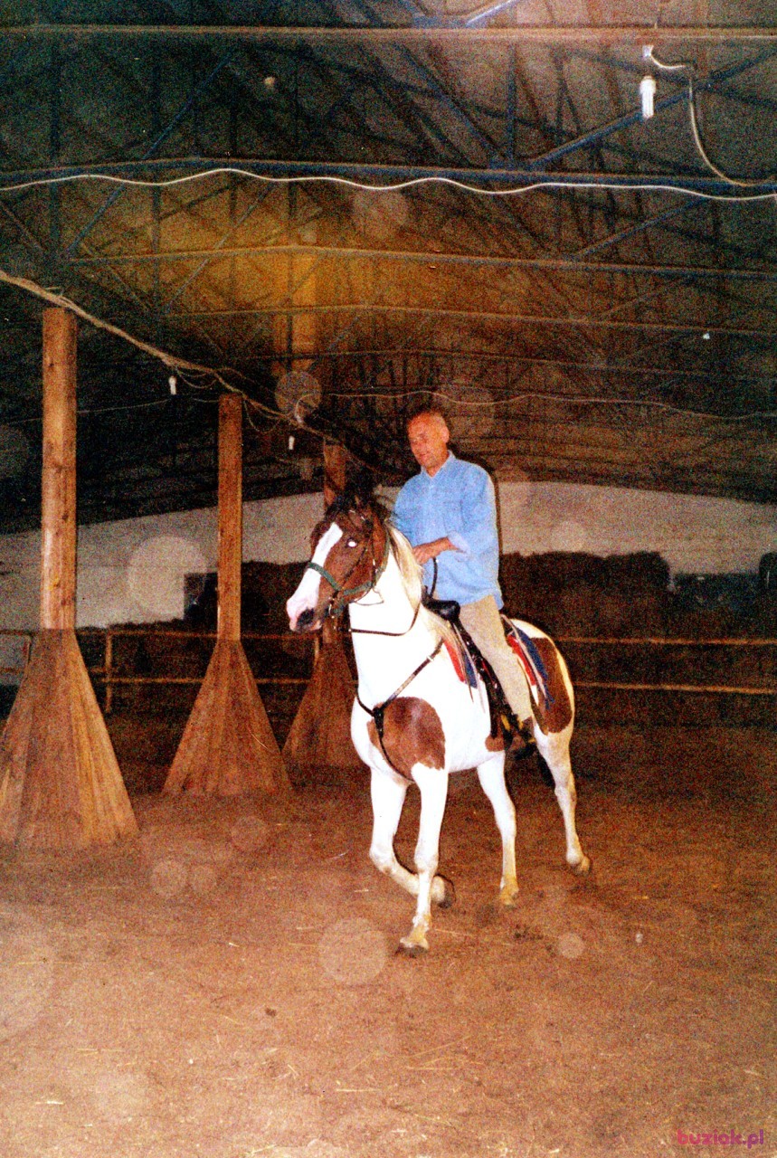 Janusz, Mężczyzna, 60, Strzyżów, Polska, Zdjęcie: 2