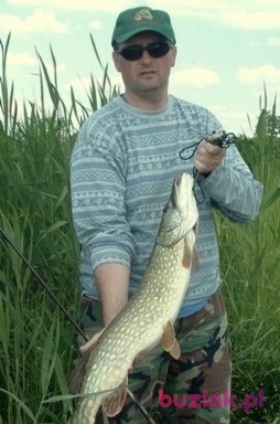 Darek, Mężczyzna, 55, Warszawa, Polska, Zdjęcie: 1