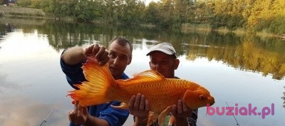 Marcin, Mężczyzna, 44, Nowy Dwór Mazowiecki, Polska, Zdjęcie: 1