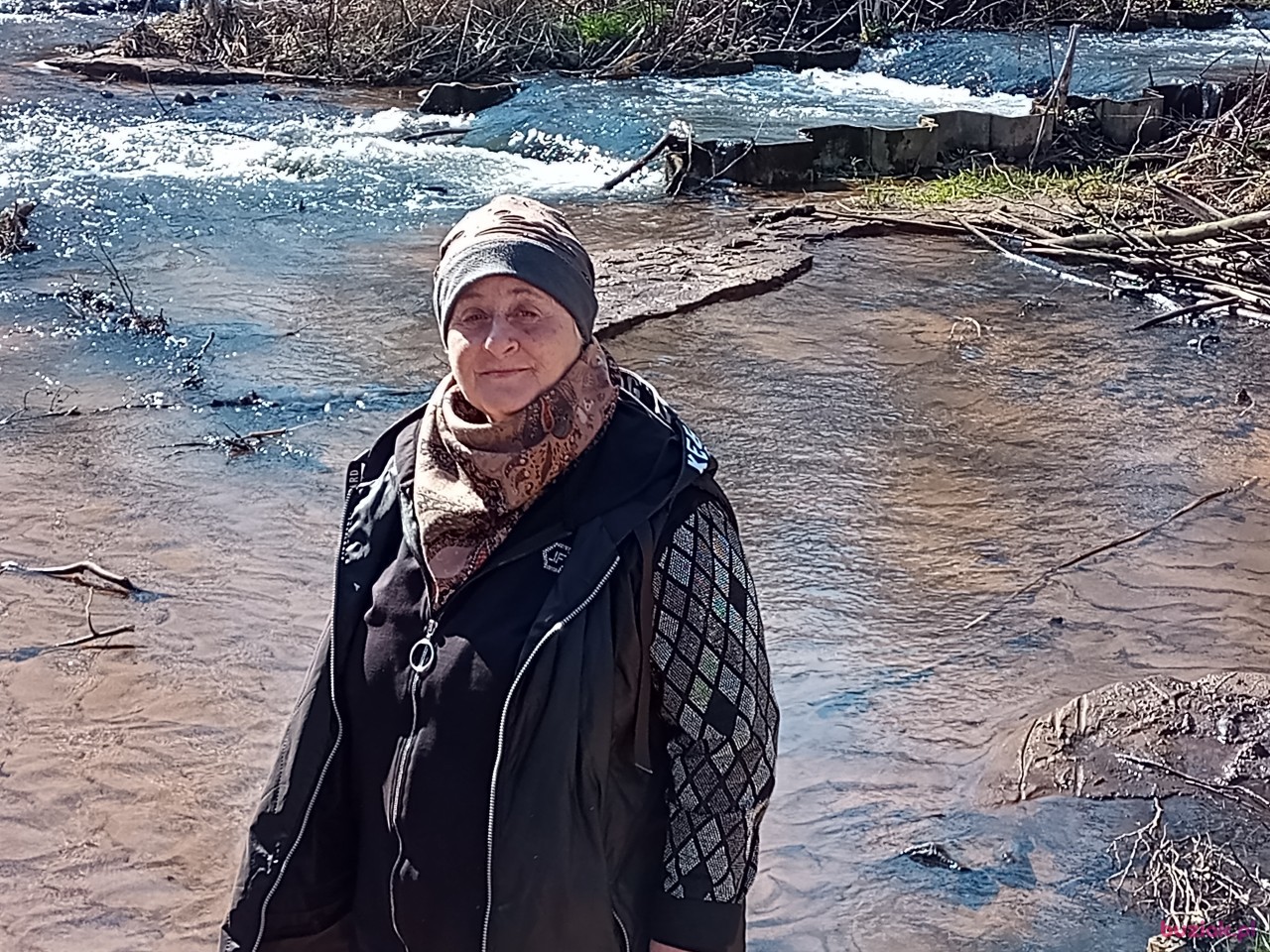 Irena, Kobieta, 64, Toruń, Polska, Zdjęcie: 5