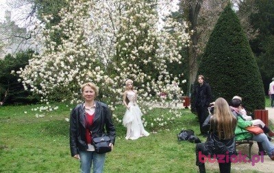 Małgosia, Kobieta, 62, Radomsko, Polska, Zdjęcie: 3
