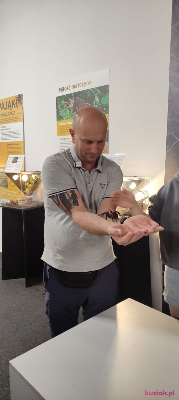 Michał, Mężczyzna, 42, Gdańsk, Polska: 1