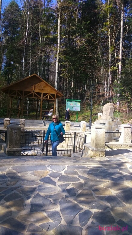 Dorota, Kobieta, 67, Stalowa Wola, Polska, Zdjęcie: 2