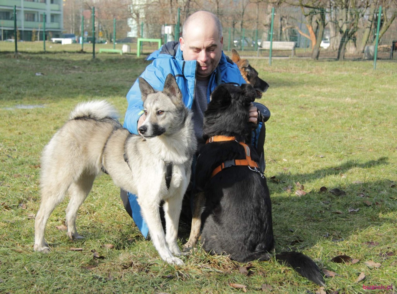Michal , Mężczyzna, 40, Siemianowice Śląskie, Polska, Zdjęcie: 5