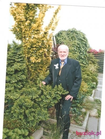 Kazimierz, Male, 80, Katowice, Polska, Photo: 3