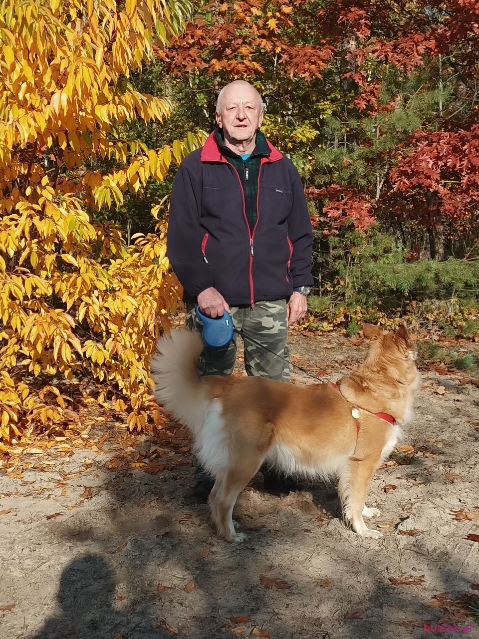 Zdzisław, Male, 71, Poznań, Polska, Photo: 4