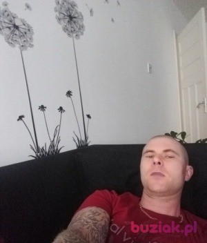 Dawid, Mężczyzna, 38, Lisse South Holland Province, Holandia, Zdjęcie: 2