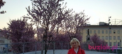 Elzbieta, Female, 61, Szczecin, Polska, Photo: 2