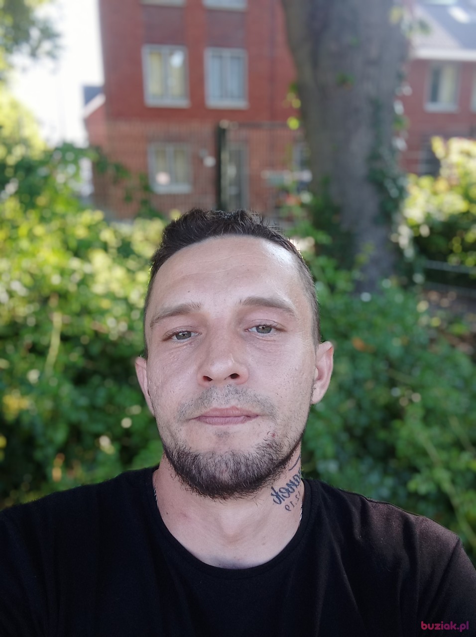 piotr, Mężczyzna, 35, Haga, Holandia: 1