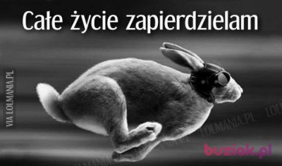 Łukasz , Mężczyzna, 45, Poznań, Polska, Zdjęcie: 2