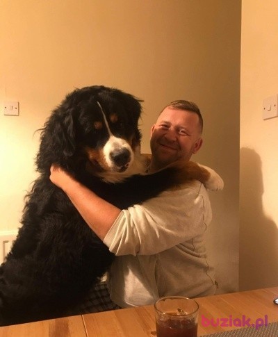 Grzegorz , Mężczyzna, 41, Sutton in Ashfield, Wielka Brytania, Zdjęcie: 1