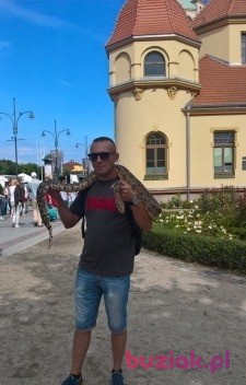 Daniel, Male, 42, Polska, Photo: 1