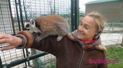 wiktoria, Kobieta, 65, Kraków, Polska, Zdjęcie: 5