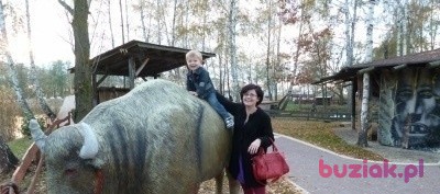 Karolina , Female, 43, Ostrów Wielkopolski, Polska: 1