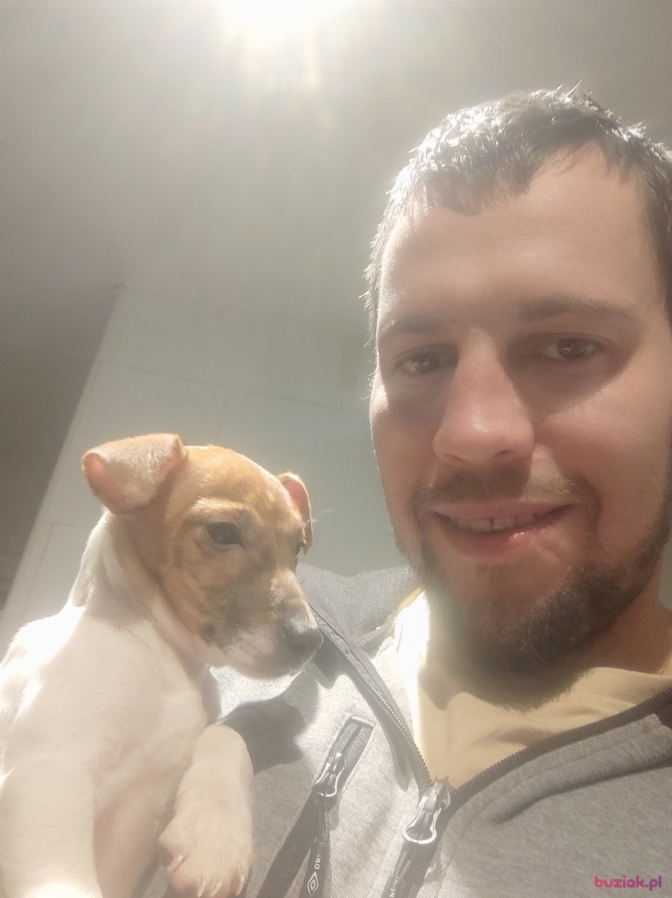 Adrian, Mężczyzna, 33, Arnhem, Holandia: 1