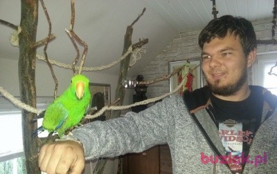 Daniel, Male, 30, Niemcy, Photo: 3