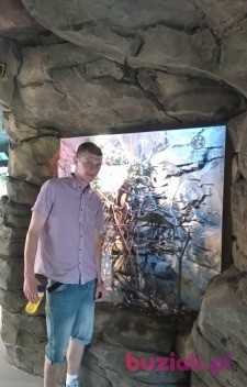 andrzej1072, Male, 39, Antwerpia, Belgia, Photo: 2