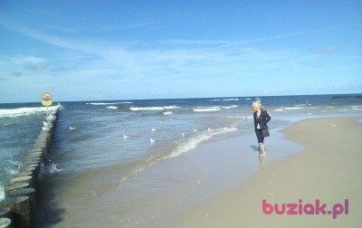 Teresa, Female, 67, Gołdap, Polska, Photo: 4