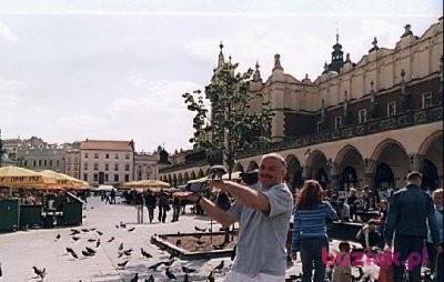 lewek, Mężczyzna, 69, Konin, Polska, Zdjęcie: 2