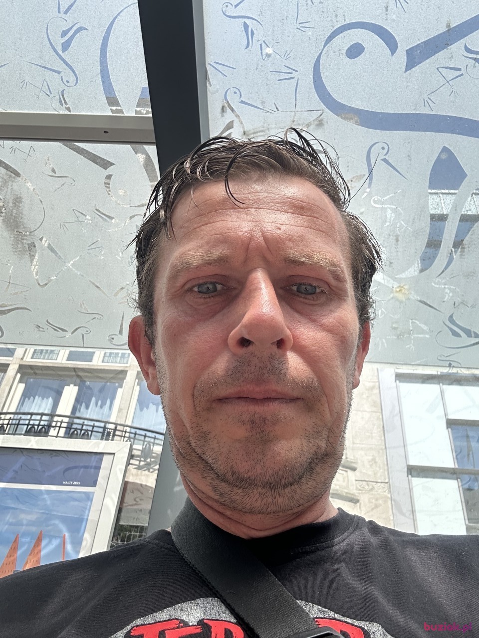 Pawel, Male, 41, Chojnów, Polska: 1