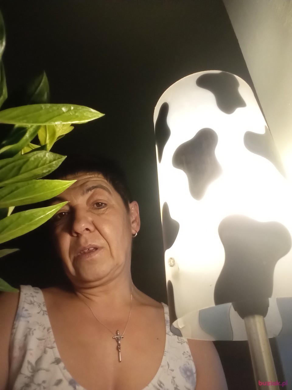 Elżbieta, Female, 51, Rzeszów, Polska: 1