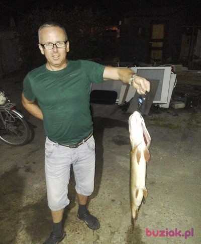 arek, Mężczyzna, 52, Stargard Szczeciński, Polska, Zdjęcie: 2