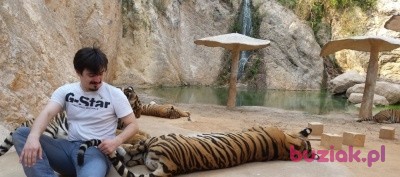 Łukasz, Mężczyzna, 38, Gdynia, Polska, Zdjęcie: 3