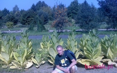 Pudel76, Male, 49, Łódź, Polska, Photo: 1