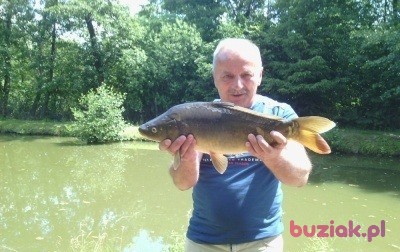 Janek, Mężczyzna, 64, Chmielnik, Polska, Zdjęcie: 4