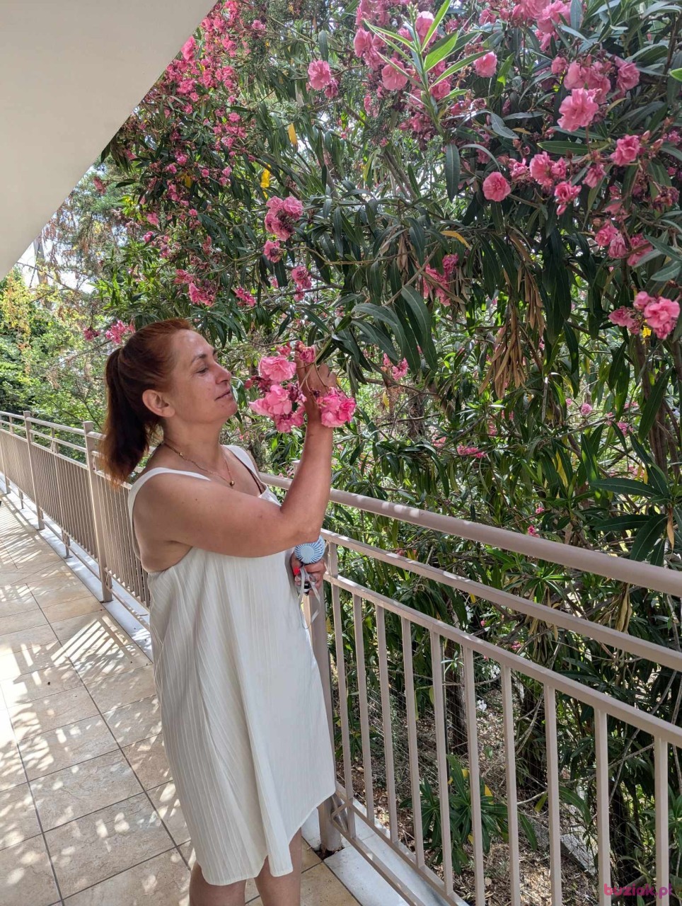 Joanna, Kobieta, 52, Bradford, Wielka Brytania, Zdjęcie: 5