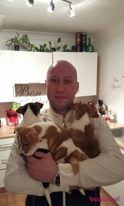 Krzysiek, Mężczyzna, 49, Dunstable, Wielka Brytania: 1