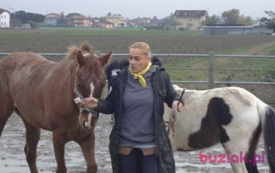 wiktoria, Kobieta, 65, Kraków, Polska, Zdjęcie: 3