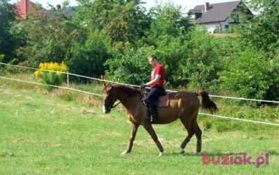 Tomasz, Male, 37, Zawiercie, Polska: 1
