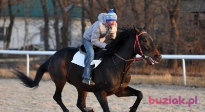 Raszid, Male, 44, Polska: 1