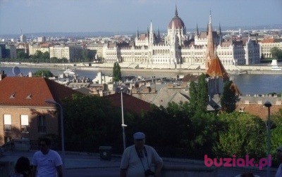 Zbyszek, Male, 66, Łódź, Polska, Photo: 8